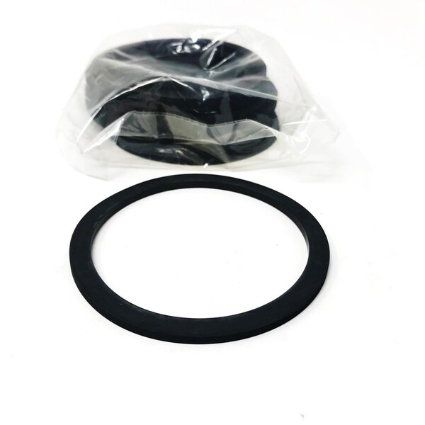 Spx / Apv Homogenizer Gasket, PK12 J800533 - main